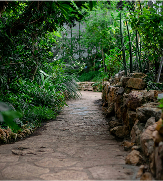 nature image
