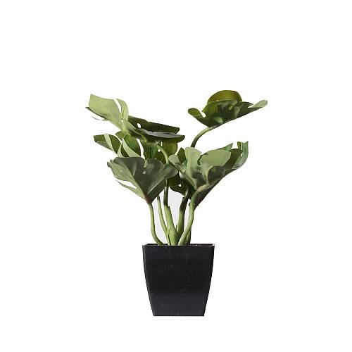 Supergreens Τεχνητό Φυτό Μονστέρα Deliciosa Πράσινο 22 εκ.