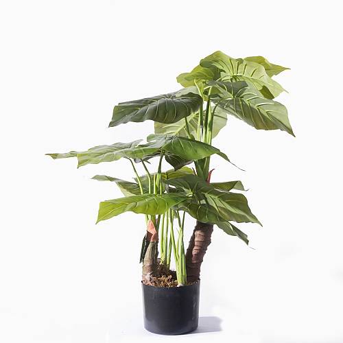 Supergreens Τεχνητό Φυτό Αλοκάσια Elephant Ears Πράσινο 80 εκ.