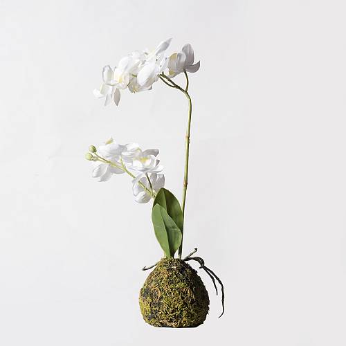 Supergreens Τεχνητό Φυτό Ορχιδέα Phalaenopsis Real Touch Λευκή με Βάση Moss 40 εκ.
