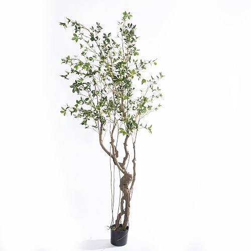 Supergreens Τεχνητό Δέντρο Φίκος Microcarpa Πράσινο 210 εκ.