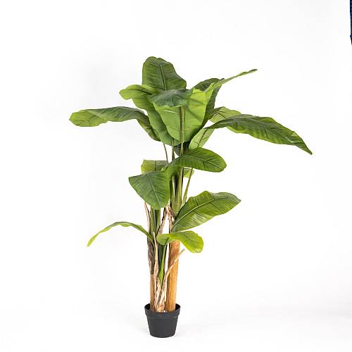 Supergreens Τεχνητό Δέντρο Μπανανιά "Musa Arbor" με Διπλό Κορμό Πράσινο160 εκ.