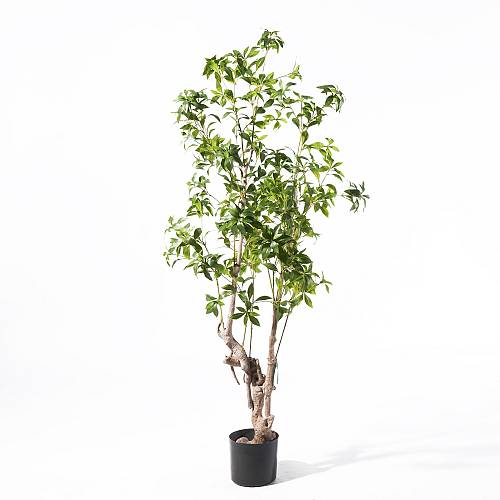 Supergreens Τεχνητο Δέντρο Φίκος "Japonica" Πράσινο 175 εκ.