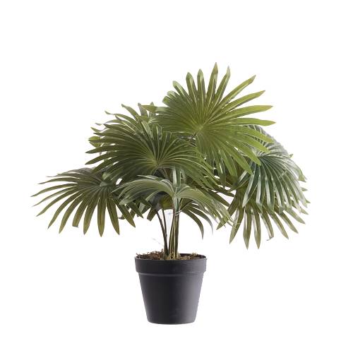 Supergreens Τεχνητό Φυτό Φοίνικας Washingtonia Πράσινο 48 εκ.