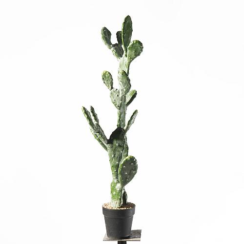 Supergreens Τενητό Φυτό Φραγκοσυκιά "Opuntia" 91,5 εκ.