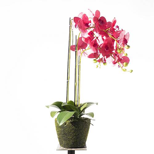 Supergreens Τεχνητό Φυτό Ορχιδέα Phalaenopsis Ροζ 80 εκ.