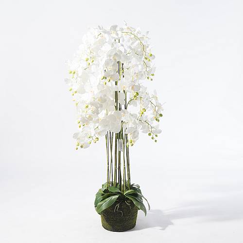 Supergreens Τεχνητό Φυτό Ορχιδέα Phalaenopsis Λευκό 153 εκ.