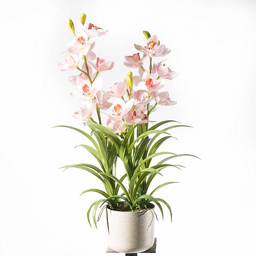 Supergreens Τεχνητό Φυτό Ορχιδέα "Cymbidium Orchid" Ροζ 70 εκ.