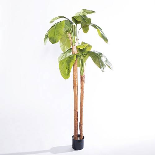Supergreens Τεχνητό Δέντρο Μπανανιά "Musa Arbor" με Διπλό Κορμό Πράσινο 200 εκ.