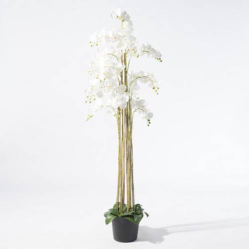 Supergreens Τεχνητό Φυτό Ορχιδέα Phalaenopsis Λευκό 180 εκ.