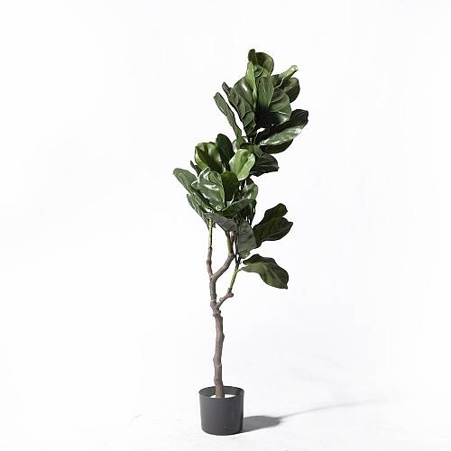 Supergreens UV+FR Τεχνητό Δέντρο Φίκος Λυράτα Πράσινο 120 εκ.