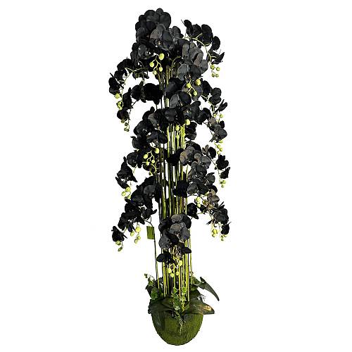 Supergreens Τεχνητό Φυτό Ορχιδέα "Phalaenopsis" Real Touch με Moss Βάση Μαύρο 180 εκ.