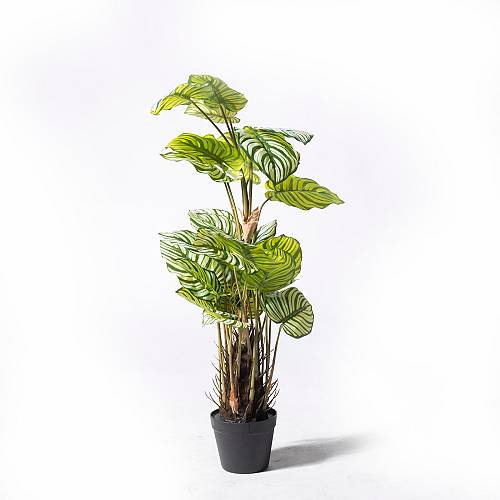 Supergreens Τεχνητό Φυτό Καλαθέα Orbifolia Πράσινο 90 εκ.