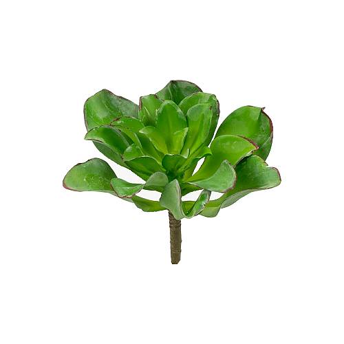 Supergreens Τεχνητό Χωνευτό Παχύφυτο "Veggie" Πράσινο 16 εκ.