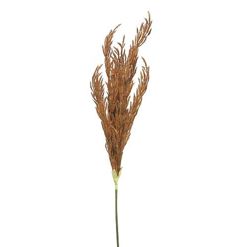 Supergreens Τεχνητό Κλαδί Pampas Καφέ 124 εκ.