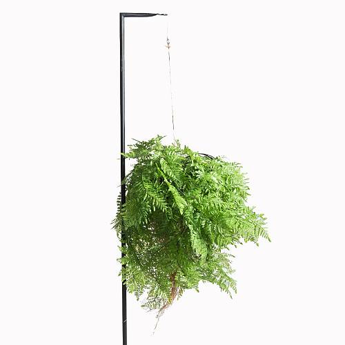 Supergreens Τεχνητή Κρεμαστή Ρίζα Φτέρη Πράσινη 65 εκ.