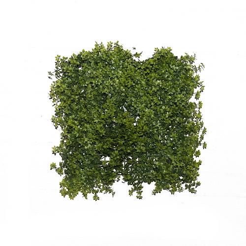 Supergreens Τεχνητή Φυλλωσιά Φτέρη "Alpine" Πράσινη 50x50 εκ.