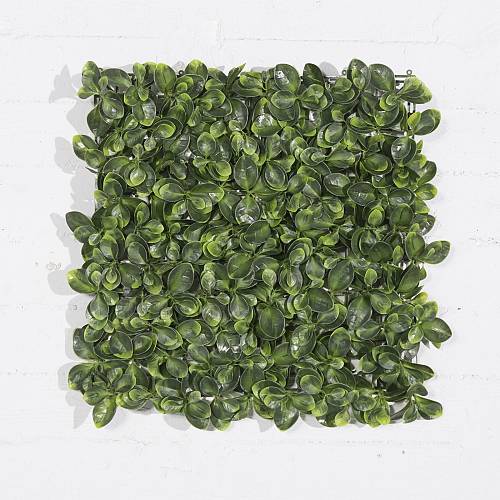 Supergreens Τεχνητή Φυλλωσιά Τριφύλλι 50x50 εκ.