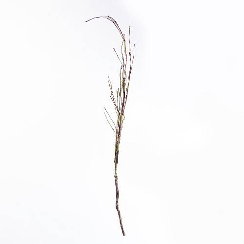 Supergreens Τεχνητό Κλαδί Αποξηραμένο Frostwood  120 εκ.