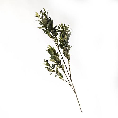 Supergreens Τεχνητό Κλαδί Ελιά "Olea Europea" Πράσινη 98 εκ.