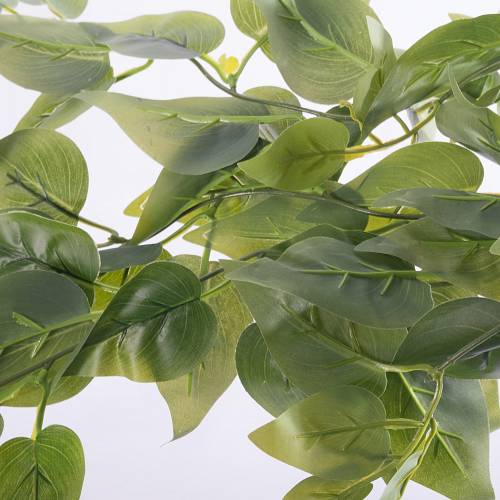 Supergreens Τεχνητό Φυτό Φίκος "Coide" Πράσινο 62 εκ.