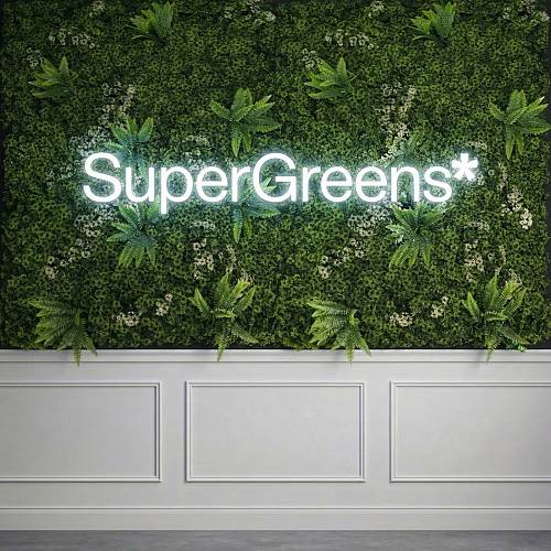 Supergreens Τεχνητή Φυλλωσιά Moss "Silva Luminis" Πράσινη 100x100 εκ.