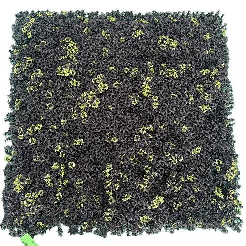 Supergreens Τεχνητή Φυλλωσιά Moss "Ombra Chiara" Μαύρη 100x100 εκ.