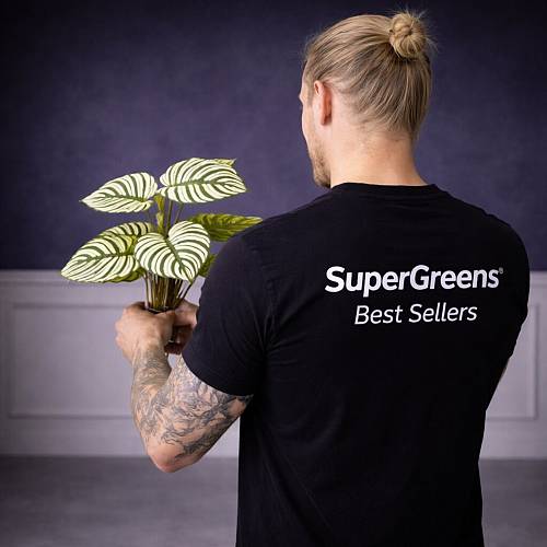 Supergreens Τεχνητή Χωνευτή Καλαθέα Orbifolia Πράσινη 60 εκ.