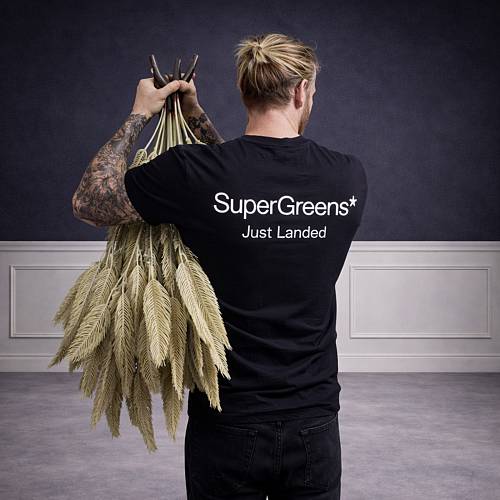 Supergreens Τεχνητή Χωνευτή Φτέρη "Ivory Fern" Εκρού 38 εκ.
