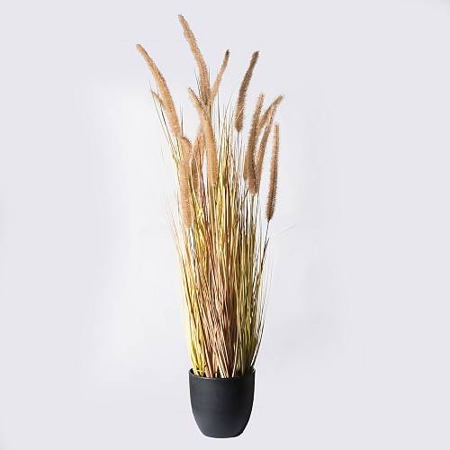 Supergreens Τεχνητό Φυτό Χορτάρι Pennisetum Λευκό 90 εκ.