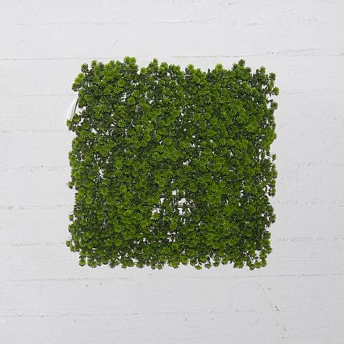 Supergreens Τεχνητή Φυλλωσιά Moss "Haircap" Πράσινη 50x50 εκ.