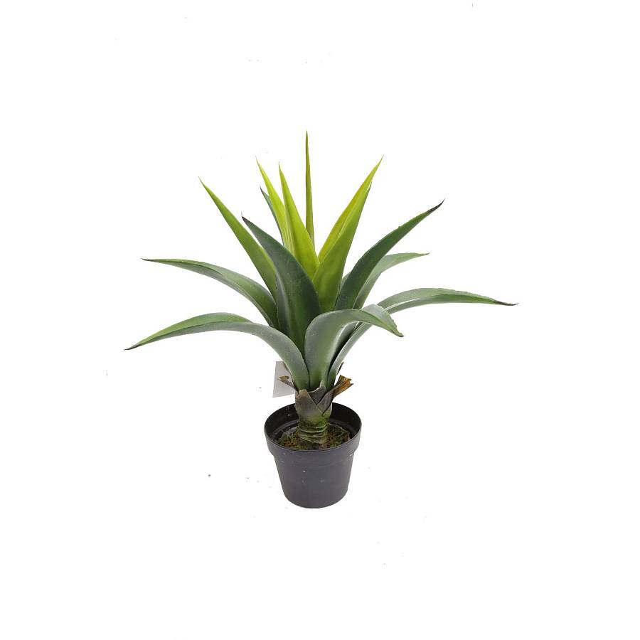 Supergreens Τεχνητό Φυτό Αγαύη Agave Πράσινο 66 εκ.