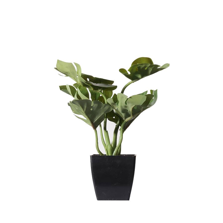 Supergreens Τεχνητό Φυτό Μονστέρα Deliciosa Πράσινο 22 εκ.