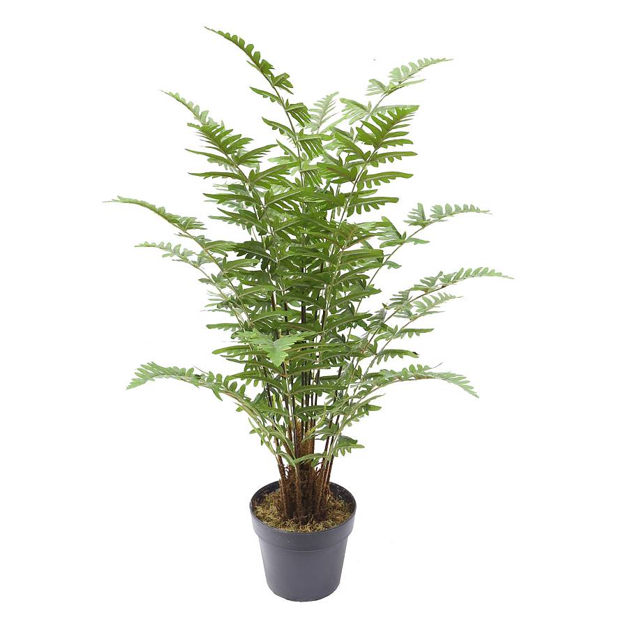 Supergreens Τεχνητό Φυτό Φτέρη Maidenhair Πράσινο 90 εκ.