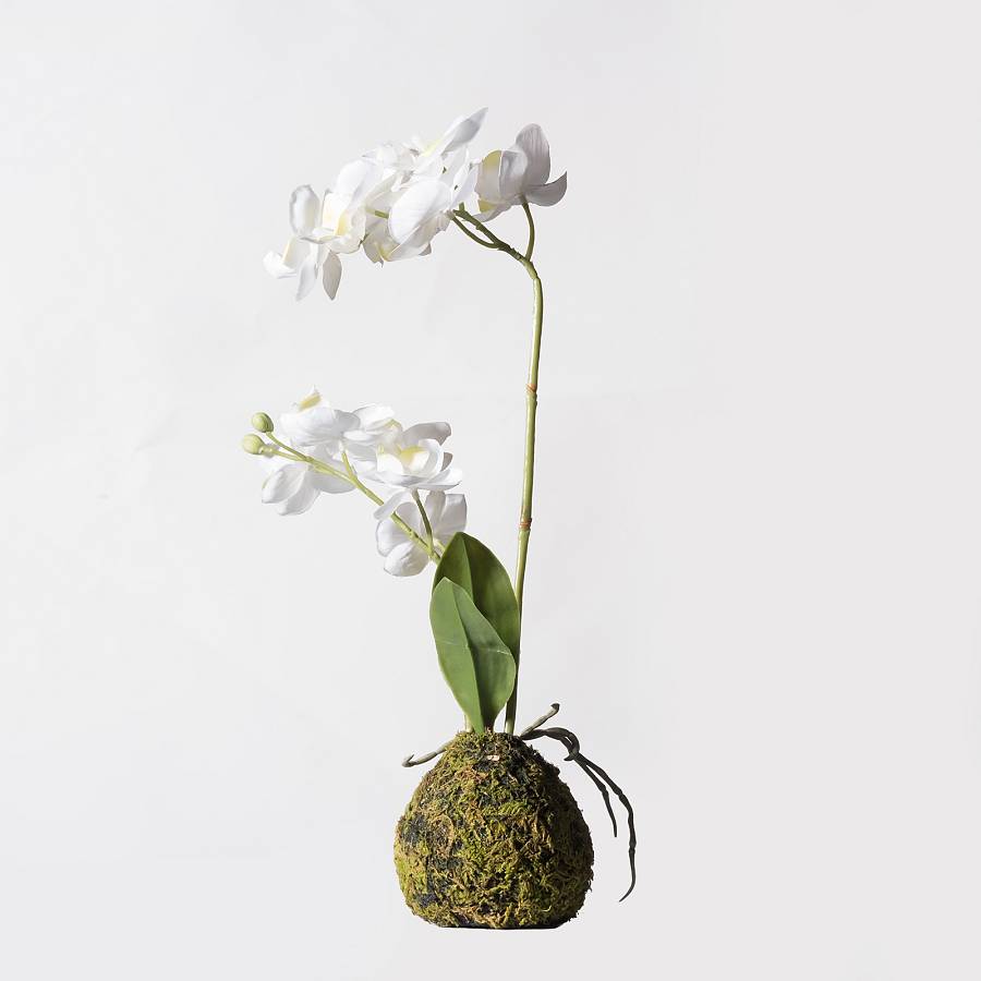 Supergreens Τεχνητό Φυτό Ορχιδέα Phalaenopsis Real Touch Λευκή με Βάση Moss 40 εκ.