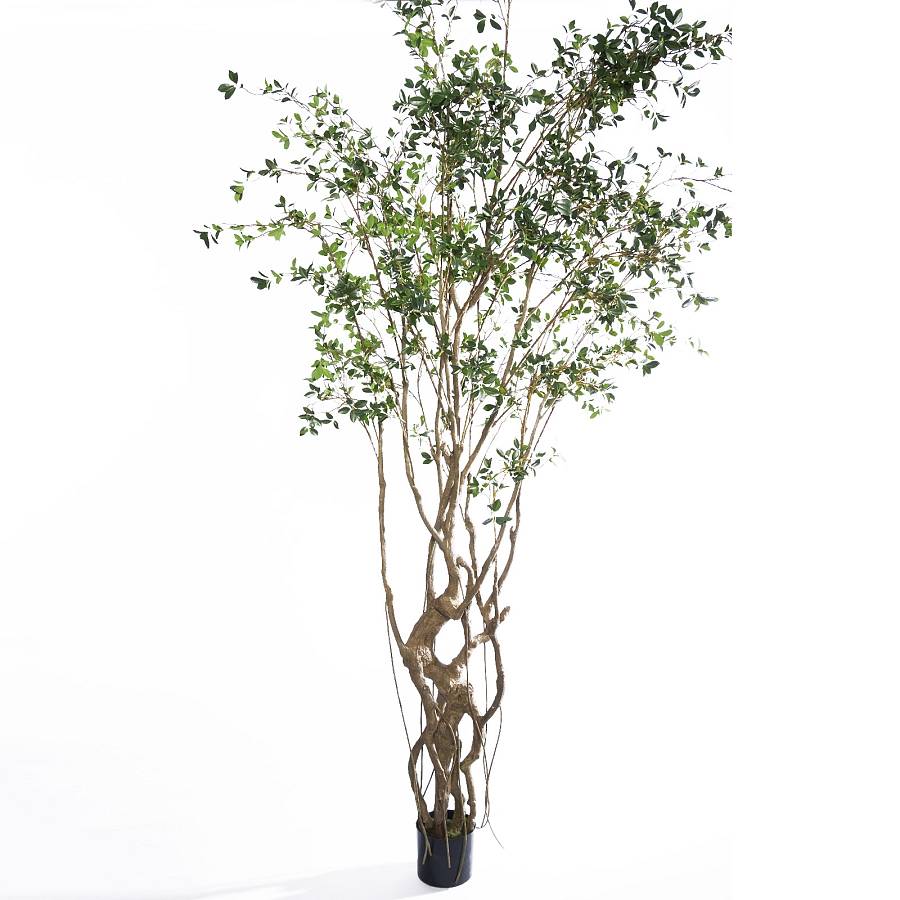 Supergreens Τεχνητό Δέντρο Φίκος Microcarpa Πράσινο 300 εκ.