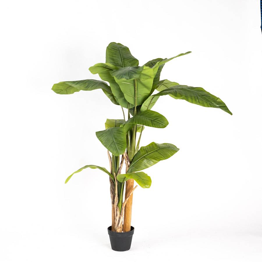 Supergreens Τεχνητό Δέντρο Μπανανιά Musa Arbor με Διπλό Κορμό Πράσινο160 εκ.