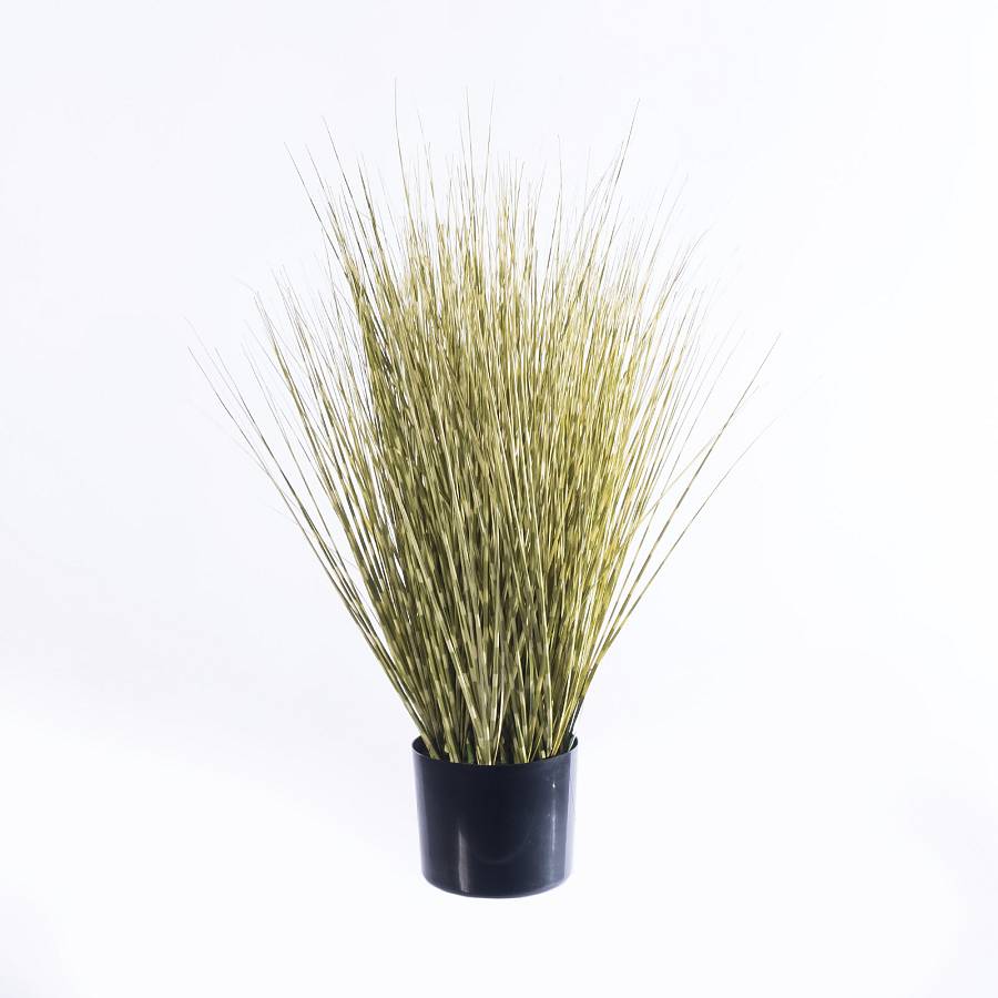 Supergreens Τεχνητό Φυτό Χορτάρι Γυνέριο Reed Πράσινο 70 εκ.