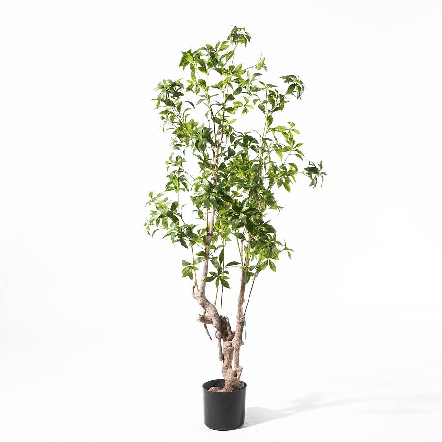 Supergreens Τεχνητο Δέντρο Φίκος Japonica Πράσινο 175 εκ.