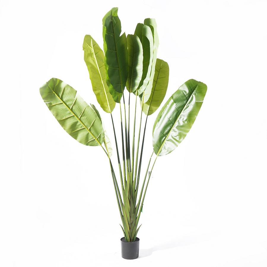Supergreens Τεχνητό Δέντρο Πουλί του Παραδείσου Strelitzia Ravenala Πράσινο 250 εκ.