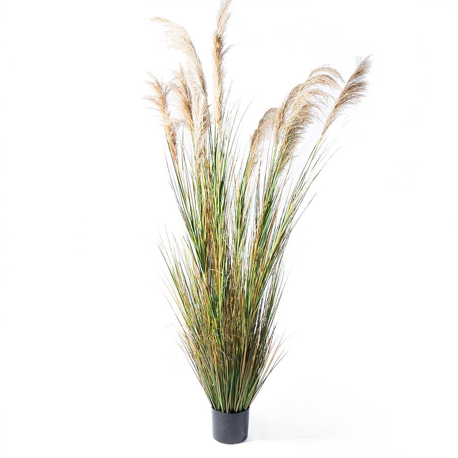 Supergreens Τεχνητο Φυτό Χορτάρι Reed Πράσινο 280 εκ.