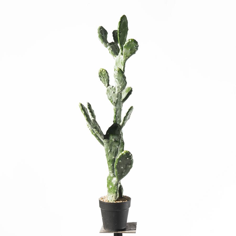 Supergreens Τενητό Φυτό Φραγκοσυκιά Opuntia 91,5 εκ.