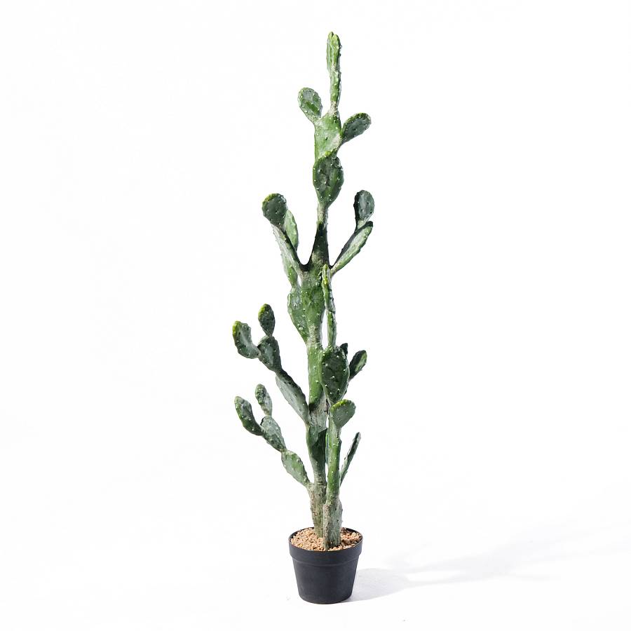 Supergreens Τενητό Φυτό Φραγκοσυκιά Opuntia 134 εκ.