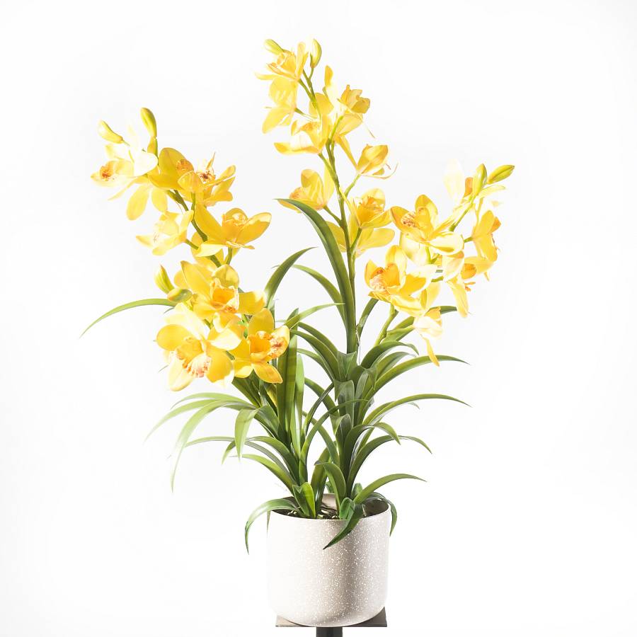 Supergreens Τεχνητό Φυτό Ορχιδέα Cymbidium Orchid Κίτρινο 80 εκ.
