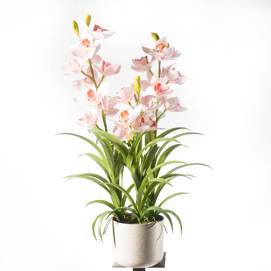 Supergreens Τεχνητό Φυτό Ορχιδέα Cymbidium Orchid Ροζ 70 εκ.