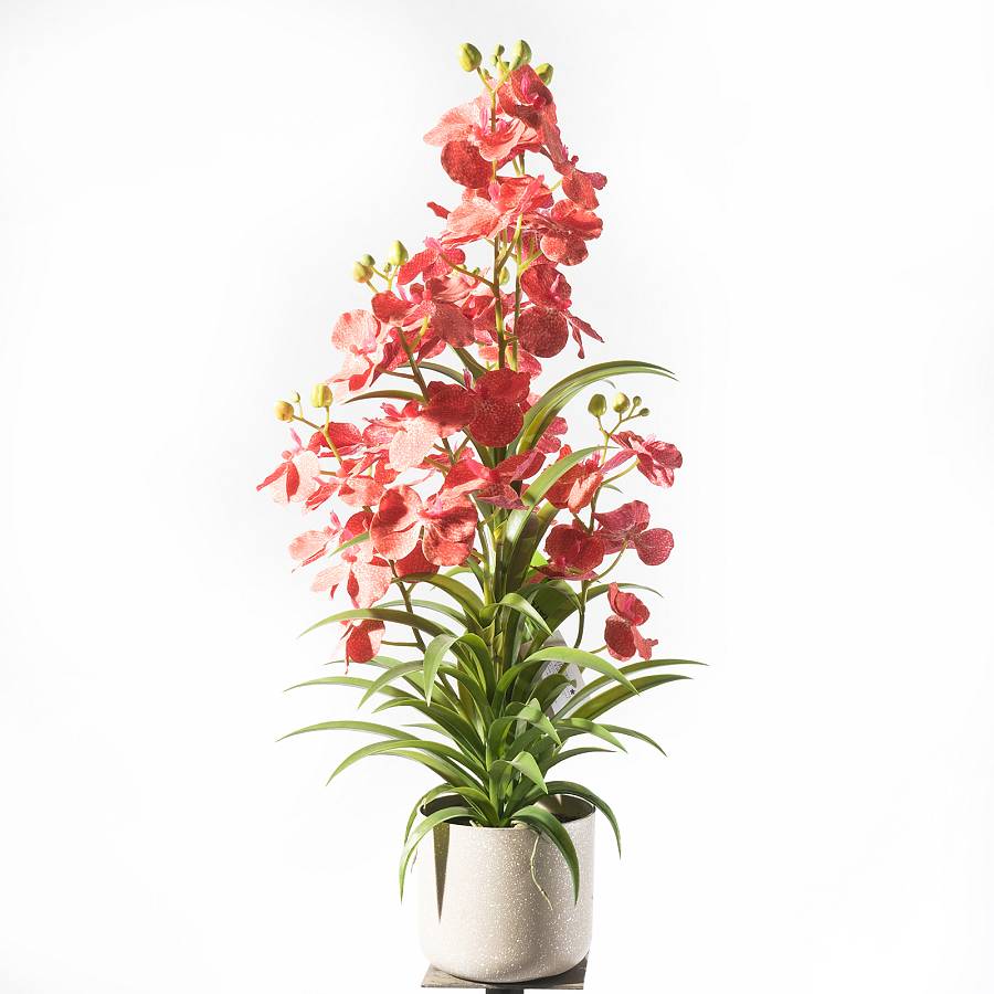 Supergreens Τεχνητό Φυτό Ορχιδέα Oncidium Orchid Ροζ 86 εκ.