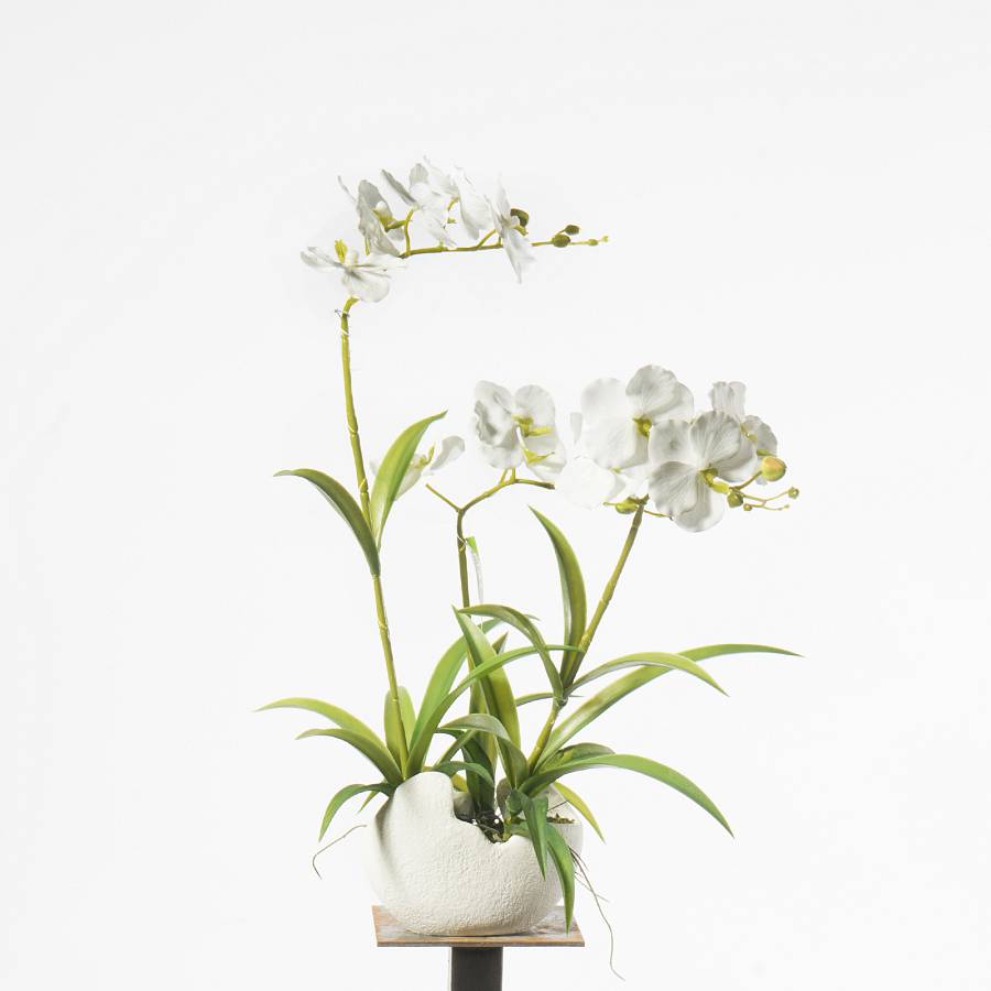 Supergreens Τεχνητό Φυτό Ορχιδέα Phalaenopsis Λευκό 57 εκ.