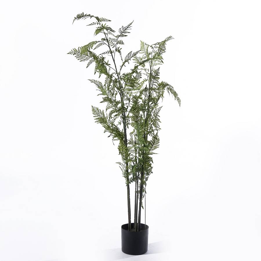Supergreens Τεχνητό Δέντρο Φτέρη Pteridium Πράσινο 100x100x140 εκ.
