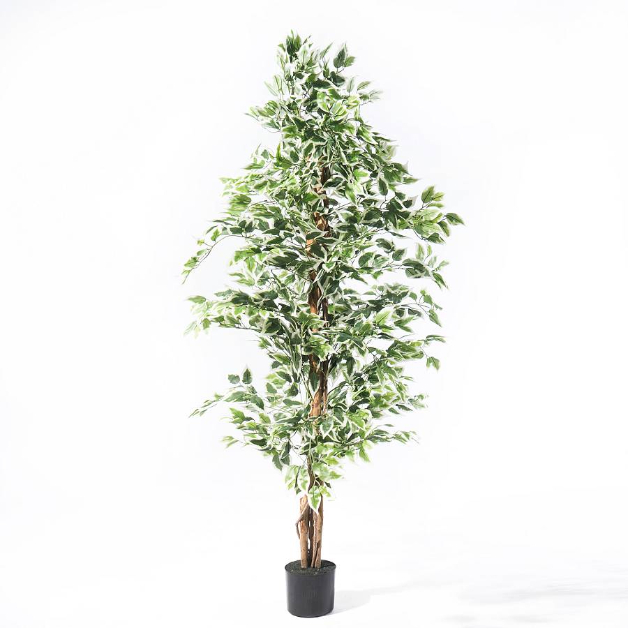 Supergreens Τεχνητό Δέντρο Φίκος Benjamina Variegata Πράσινο 180 εκ.