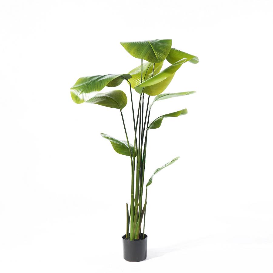 Supergreens Τεχνητό Δέντρο Πουλί του Παραδείσου Strelitzia Augusta Πράσινο 180 εκ.